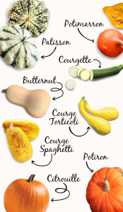 courges-et-citrouilles